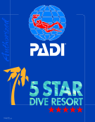5 Star Resort